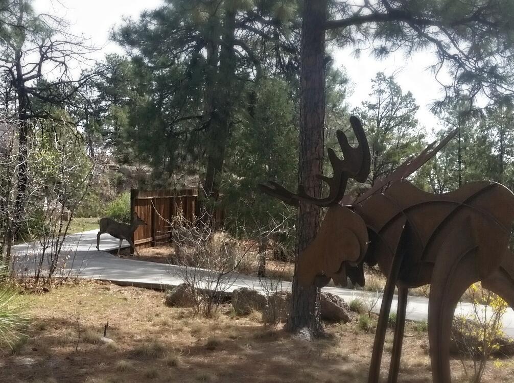 Pueblo Canyon Inn Los Alamos Exterior photo